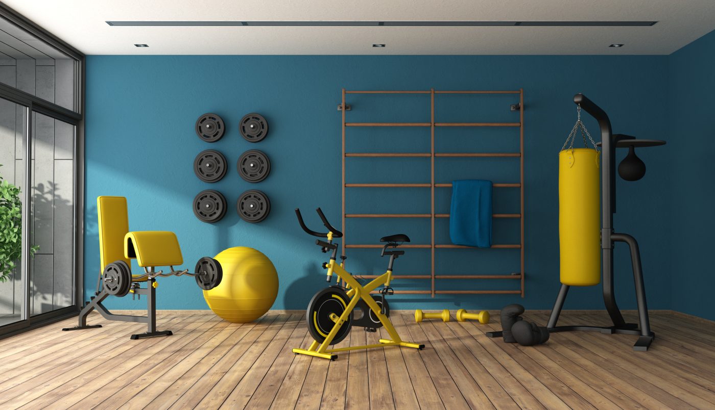 Home gym with punching boxer, bicycle and other fitness equipment 