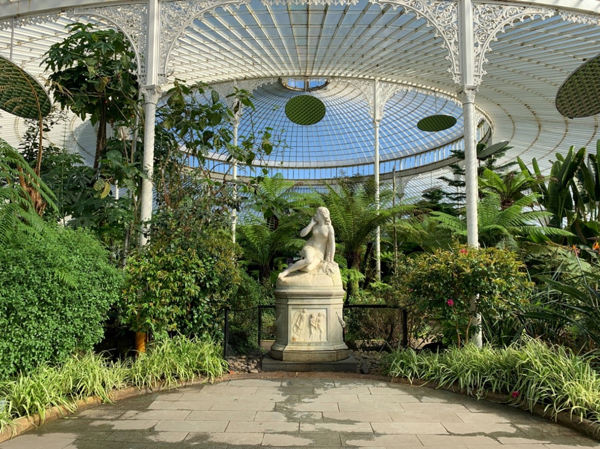 garden in Glasgow